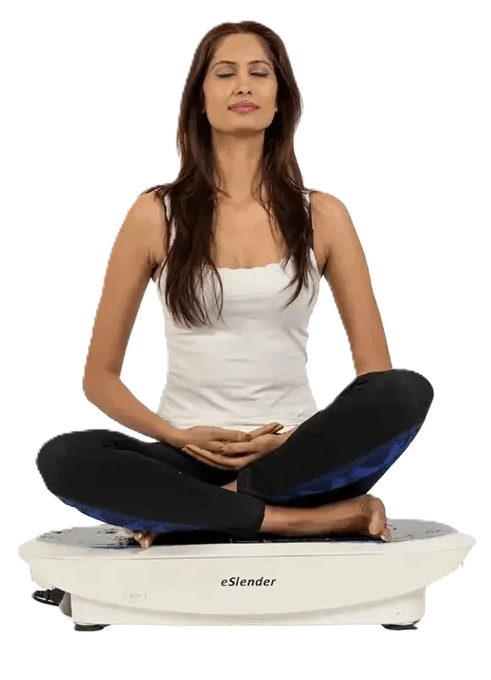 HCI eSlender Indoor Oscillation Plate Workout Machine